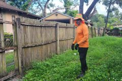 Fence-Removal_091321-scaled