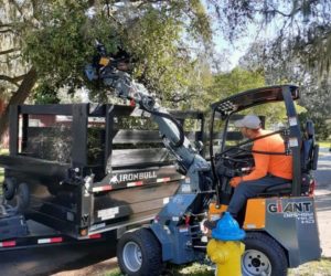 Tampa Yard Waste Removal 