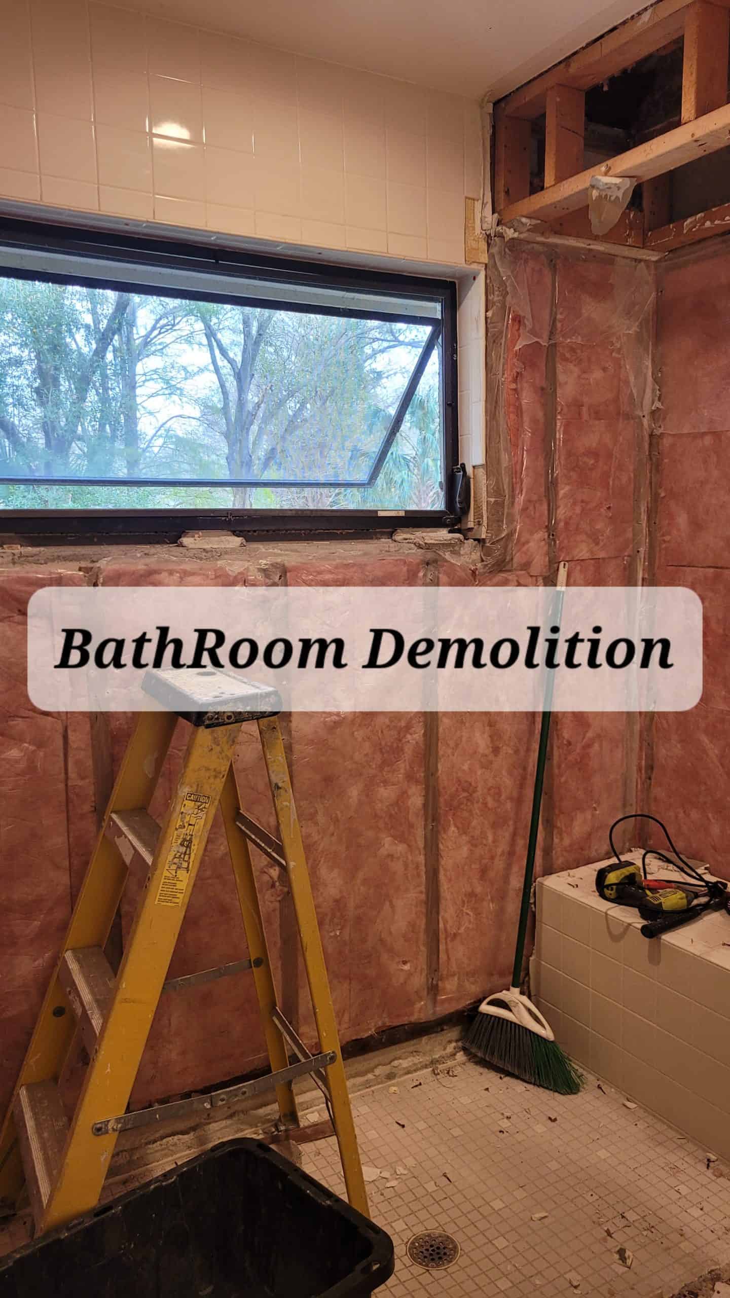 Bathroom Demolition