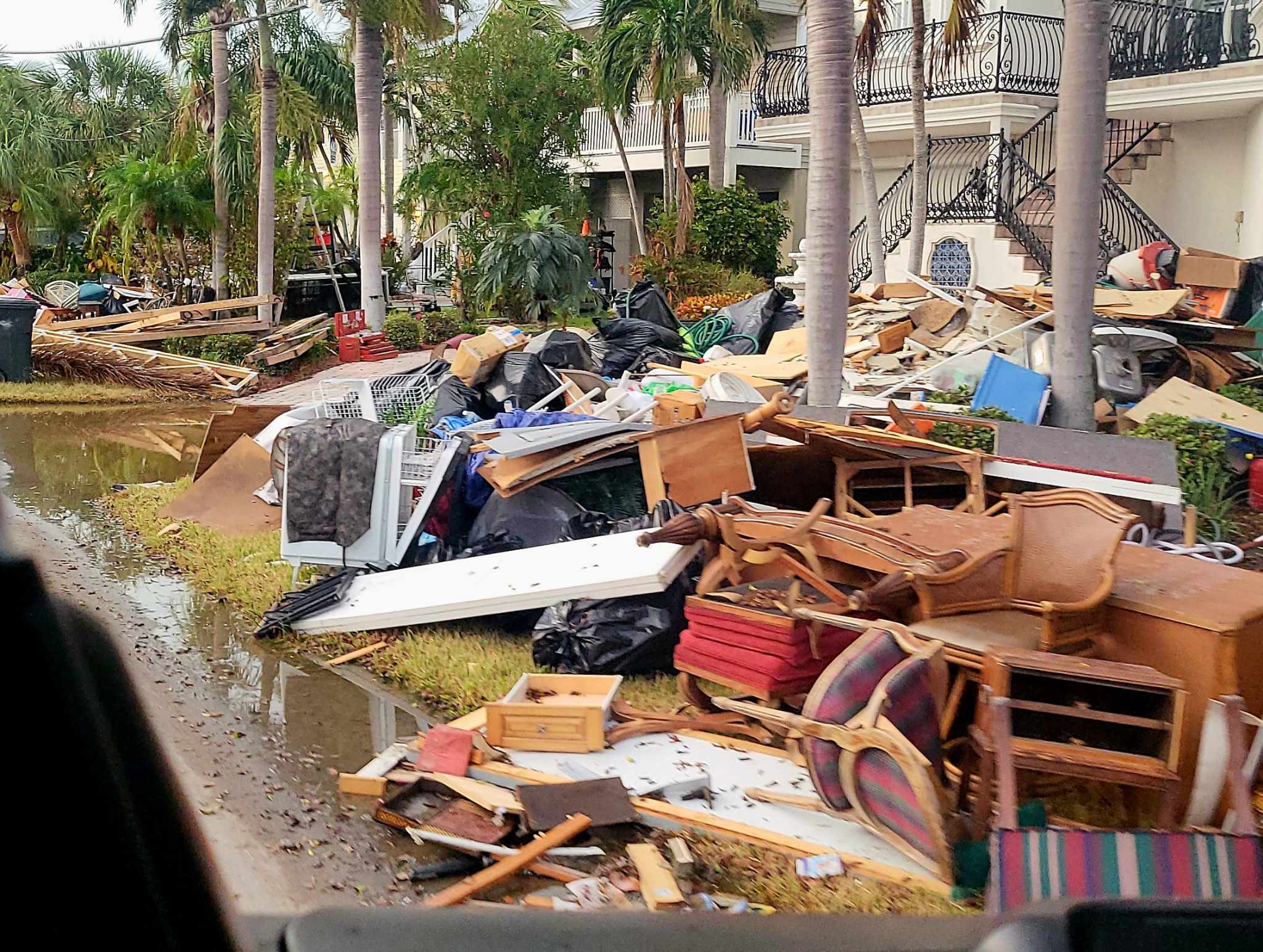 St. Petersburg Storm Debris Pickup